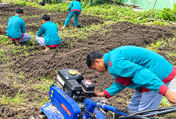 traktor banyak